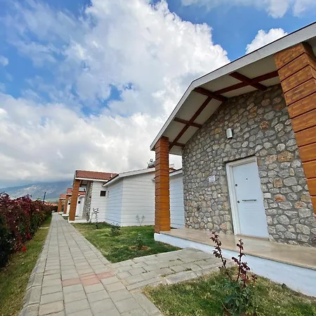 Villa Patara Fiesta 3+1 Villa, Oezel Havuzlu, *